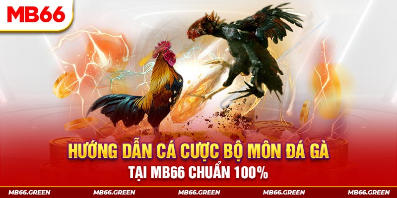 slot là gi