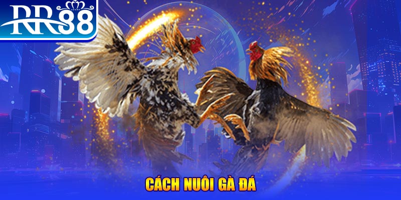đăng nhập phỏm đổi thưởng