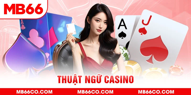 gà chọi c1 mới nhất