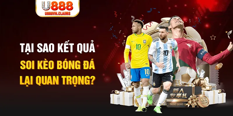 Tôm Cua Cá 2
