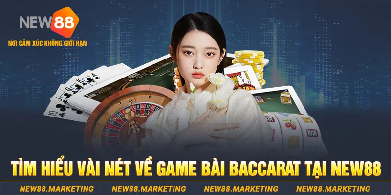 gà chọi c1 ô taxi