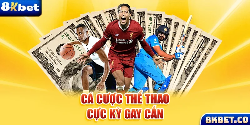 xem đá gà trực tiếp